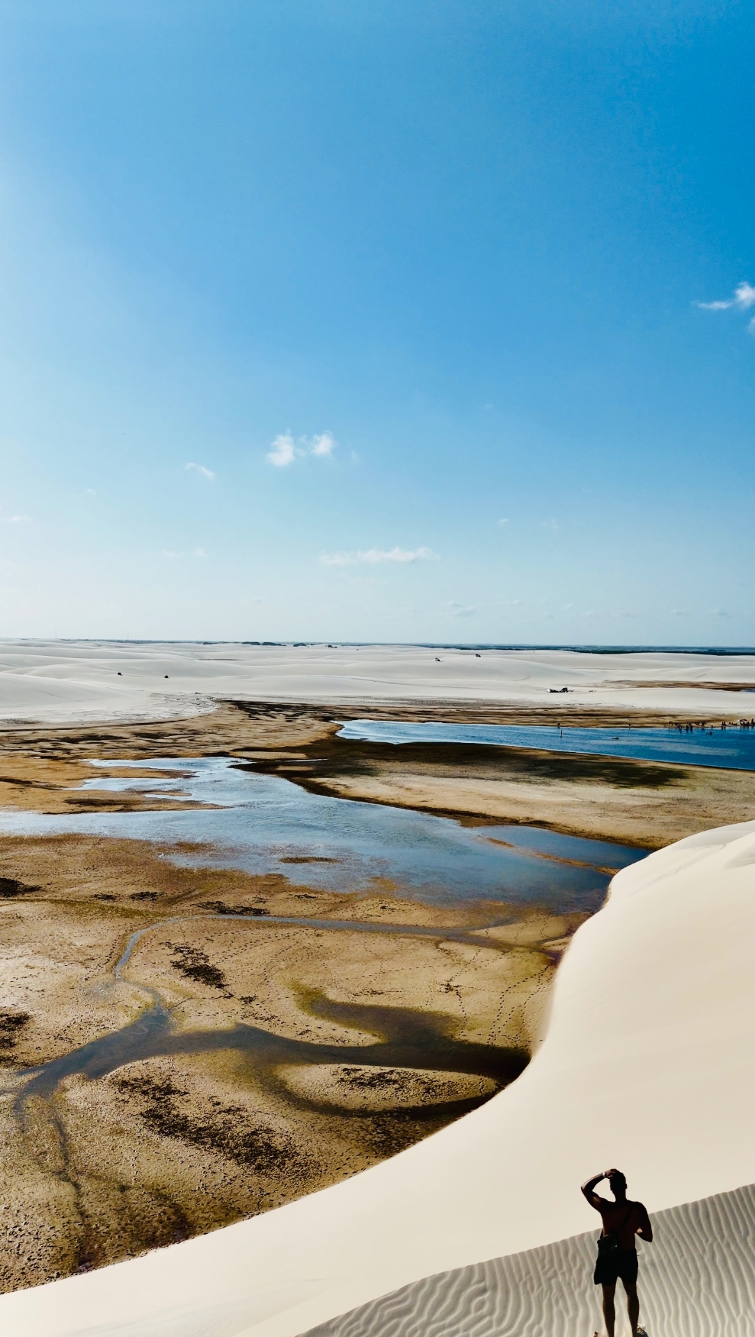 Wetlands · Camargue